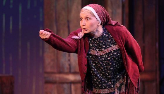 Музыкальный спектакль «Любовь и голуби»