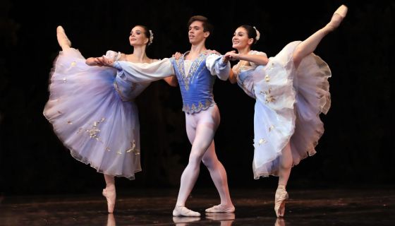 Балет «Лебединое озеро»