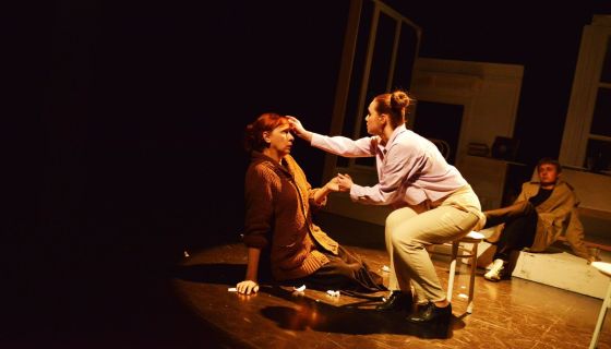 Спектакль «Дорогая Елена Сергеевна»