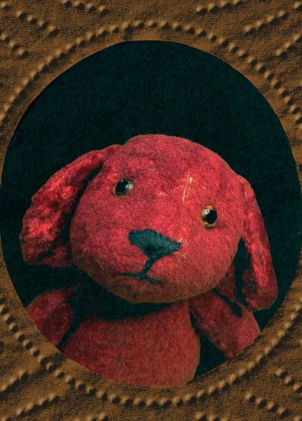 Порез на собаке