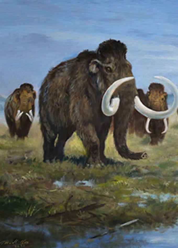 Палеонтология Дона. Выставка