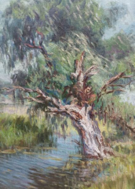 Портрет дерева. Мастер-класс