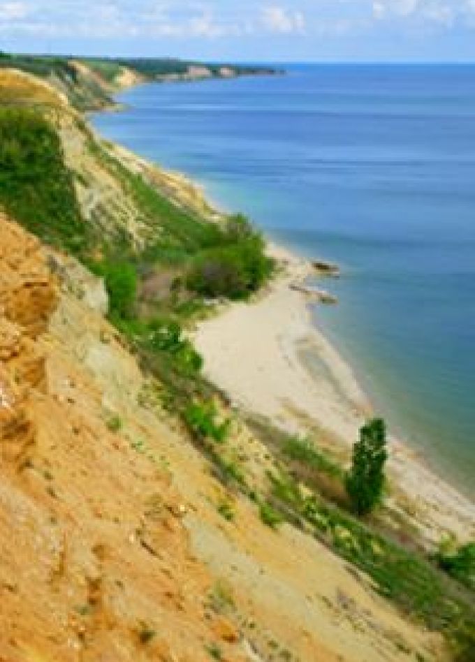 Изучаем прошлое Донской земли. Палеонтологическая разведка