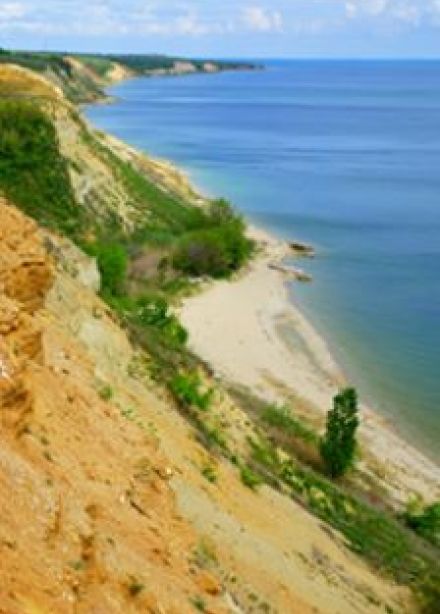 Изучаем прошлое Донской земли. Палеонтологическая разведка