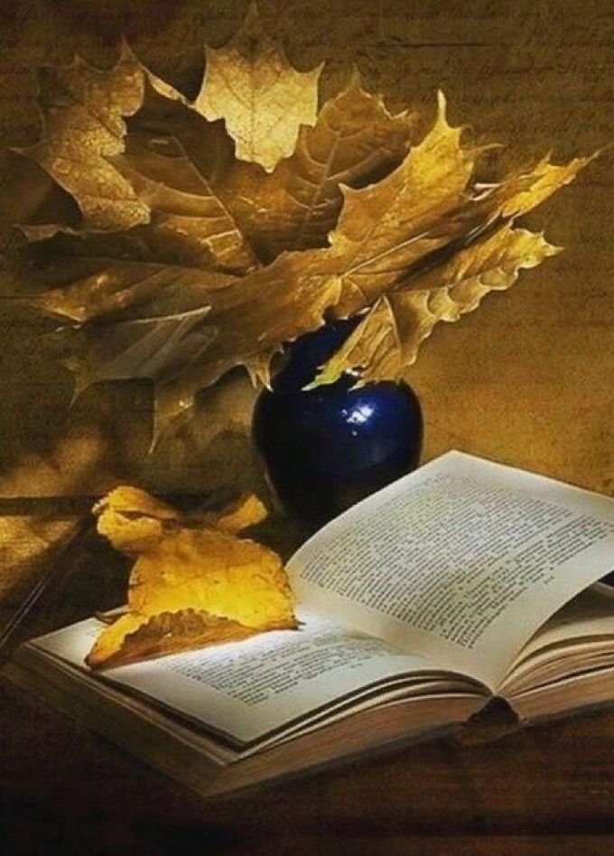 Удивительный мир поэзии. Литературное путешествие