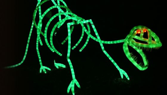 Представление световых кукол. Театр Николая Зыкова, Волгодонск