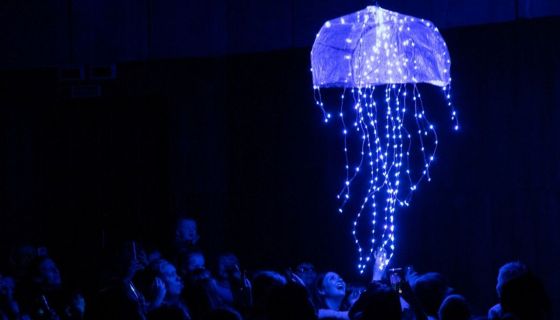 Представление световых кукол. Театр Николая Зыкова, Новочеркасск