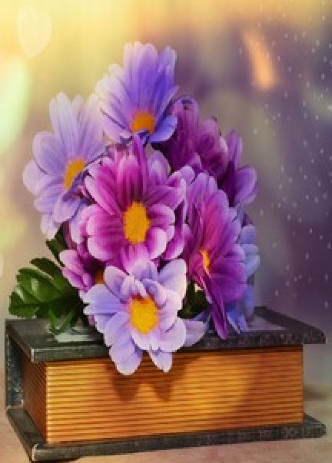 Молодость & Книга: Литературный баттл