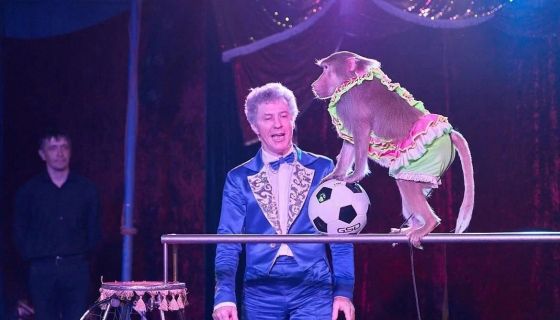 Цирк-шапито «Карнавал»