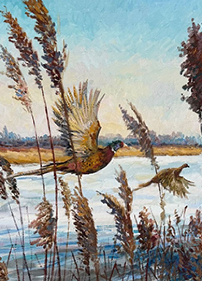 Персональная выставка Олеси Николаевны Майдибор