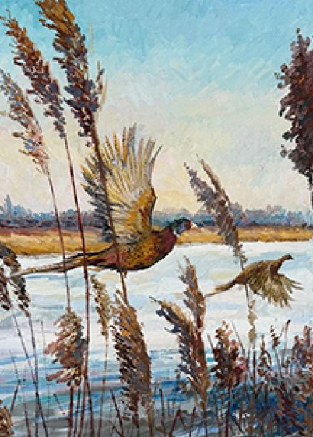 Персональная выставка Олеси Николаевны Майдибор