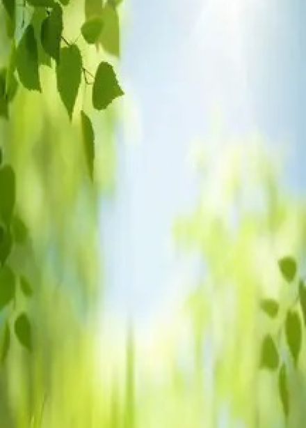 Приметы и поверья. Интеллектуальная игра