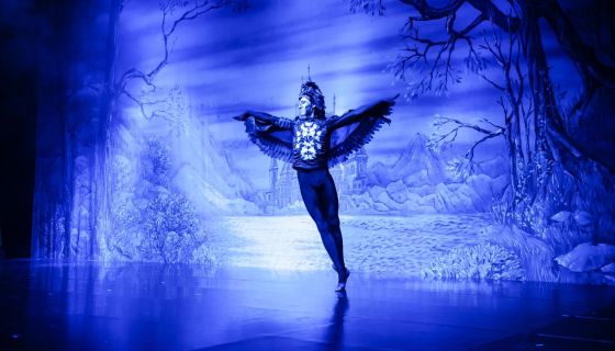 Балет «Лебединое озеро»