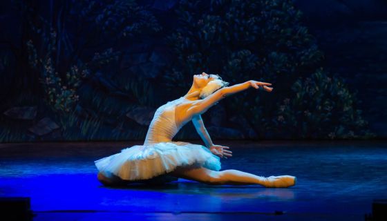 Балет «Лебединое озеро»