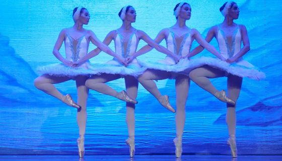 Балет «Лебединое озеро», Новочеркасск