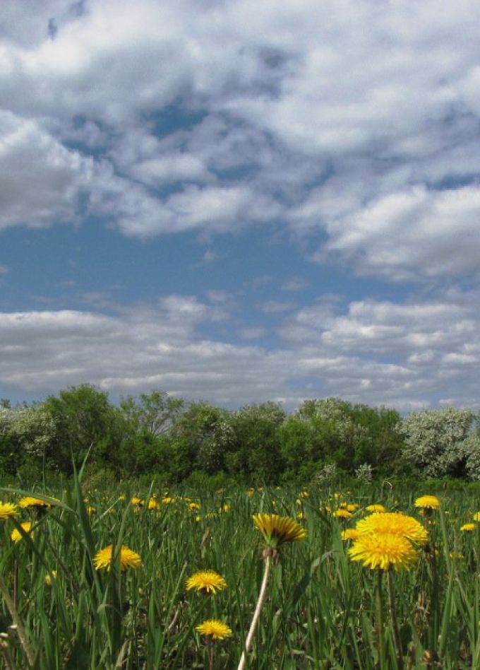 Всему начало здесь, в краю родном: Познавательный час