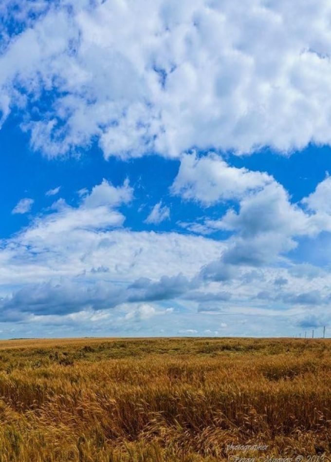 Летопись родного края: страницы истории. Краеведческий квилт