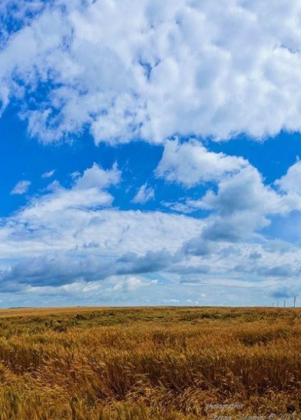 Летопись родного края: страницы истории. Краеведческий квилт