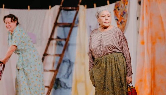 Спектакль «Любовь и голуби»