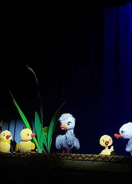 Гадкий утёнок