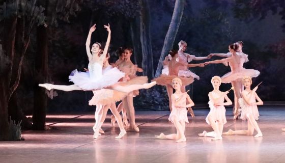 Балет «Дон Кихот»