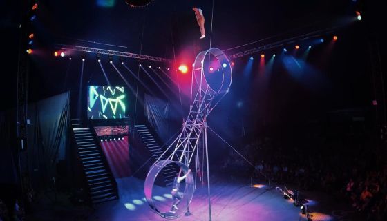 Цирк Династии Довгалюк