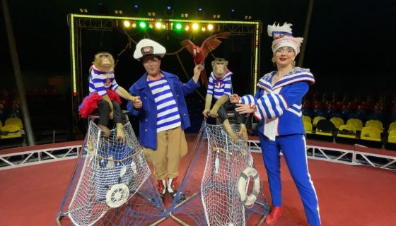 Цирк Династии Довгалюк