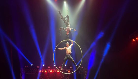 Цирк Династии Довгалюк