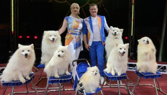 Цирк Династии Довгалюк