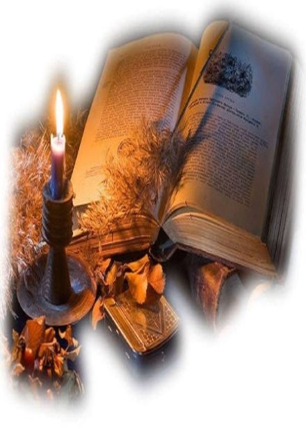 Удивительный мир поэзии