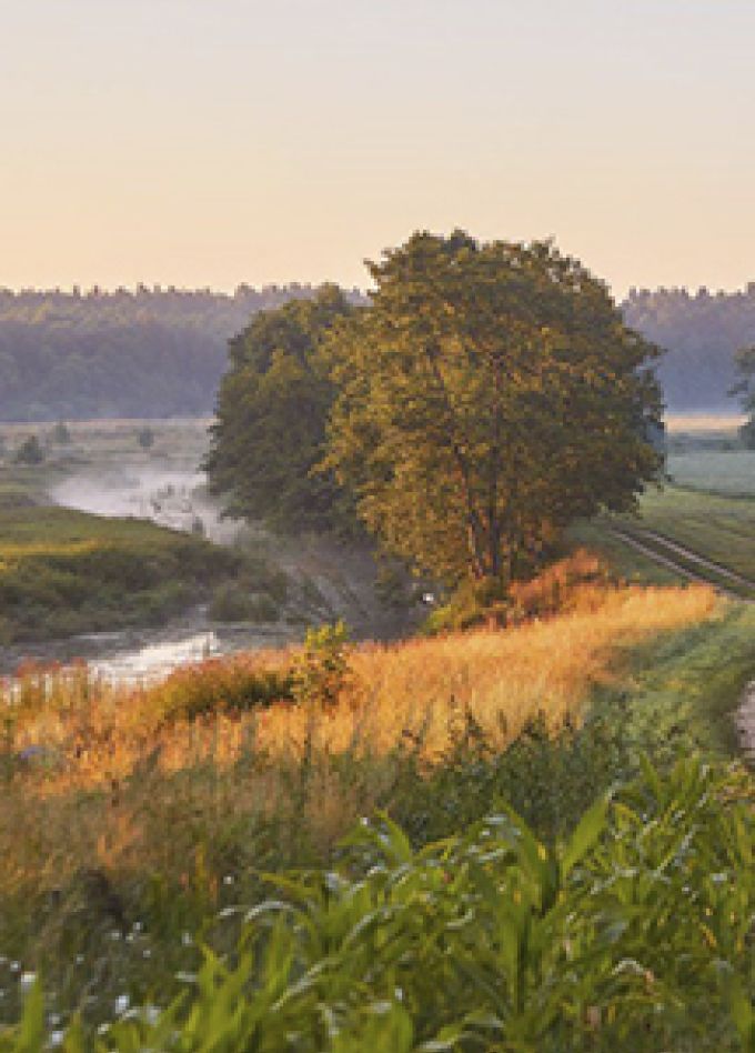 Тут все моё, и я отсюда родом