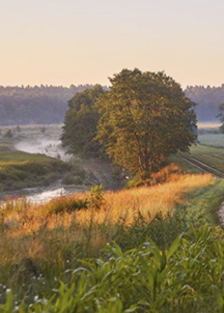 Тут все моё, и я отсюда родом