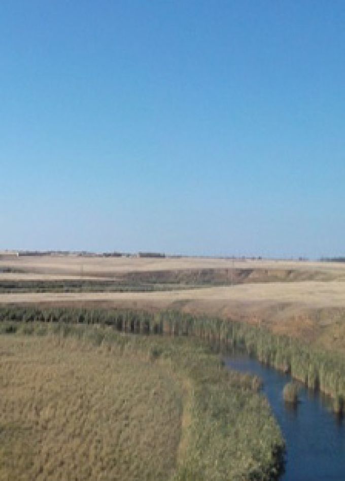 Чудеса родного края. Познавательная программа