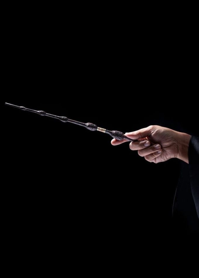 Оркестр Sonorus. Гарри Поттер