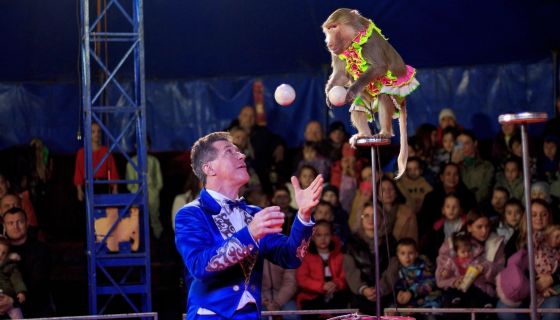 Цирк «Карнавал», Батайск