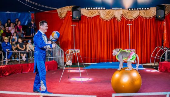 Цирк «Карнавал», Батайск