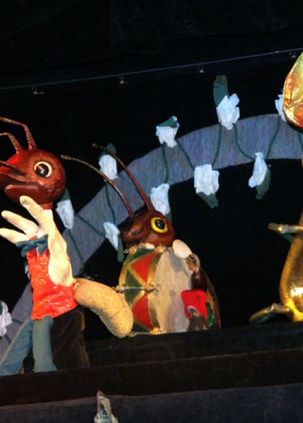 Муха-Цокотуха