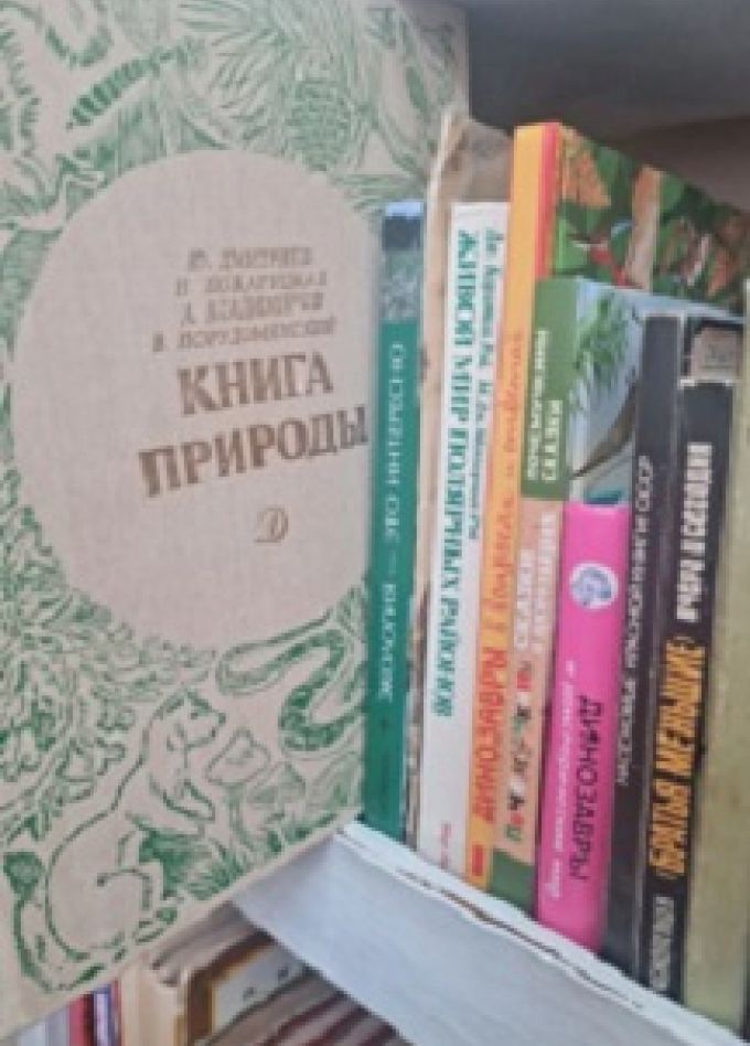 Произведения о Земле — чтение и обсуждение. Литературный час