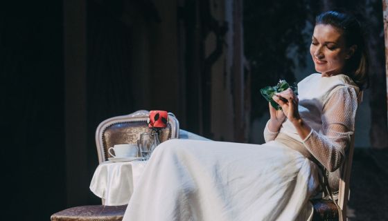 Спектакль «Идеальный свидетель»