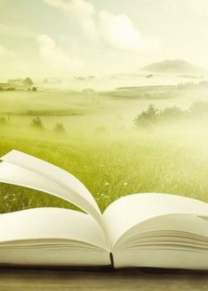 Лучший краевед: Турнир