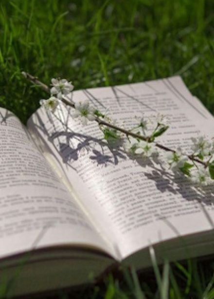 Летние романы. Литературный вечер