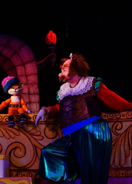 Кот в сапогах