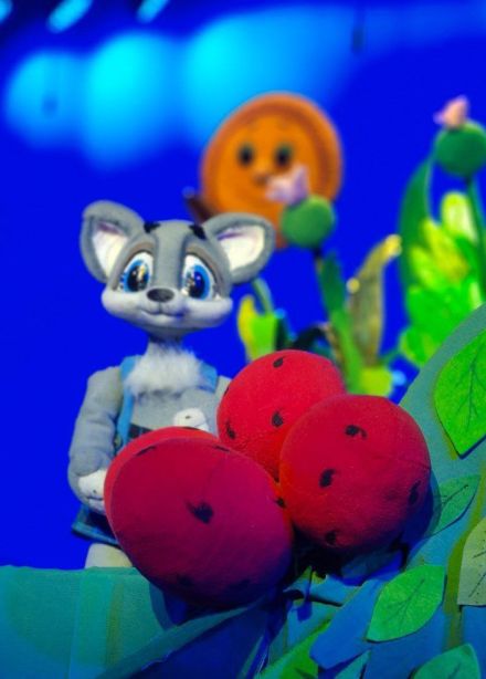 Как котёнок научился мяукать