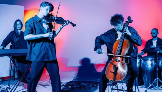 Винил Квартет