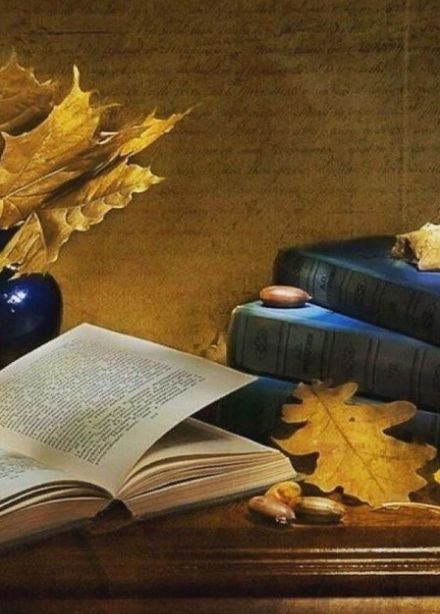 Удивительный мир поэзии. Литературное путешествие