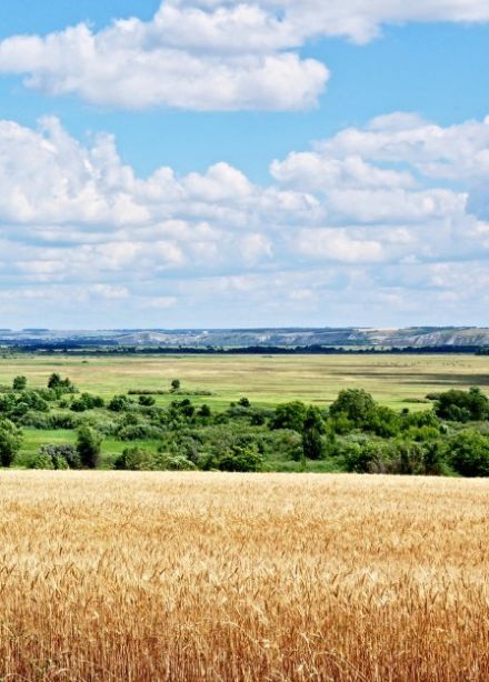 Калинин: в жизни, литературе, на экране. Литературная гостиная