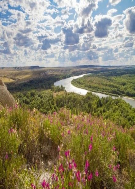 Всему начало здесь, в краю родном. Познавательная программа