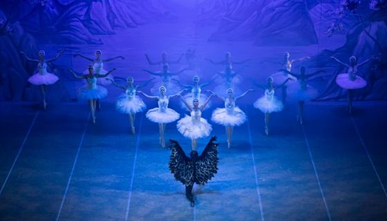Балет «Лебединое озеро»,  Миллерово